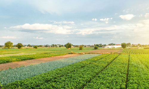 agricultaral-land